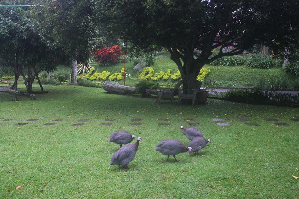 Hotel Villa Rawa Pening Pratama By Aparian Bandungan Buitenkant foto